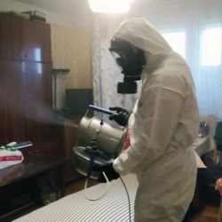 Дезинфекция от клопов в Шелехове