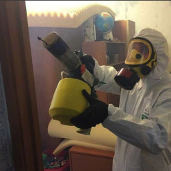 Уничтожение клопов в квартире. Шелехов